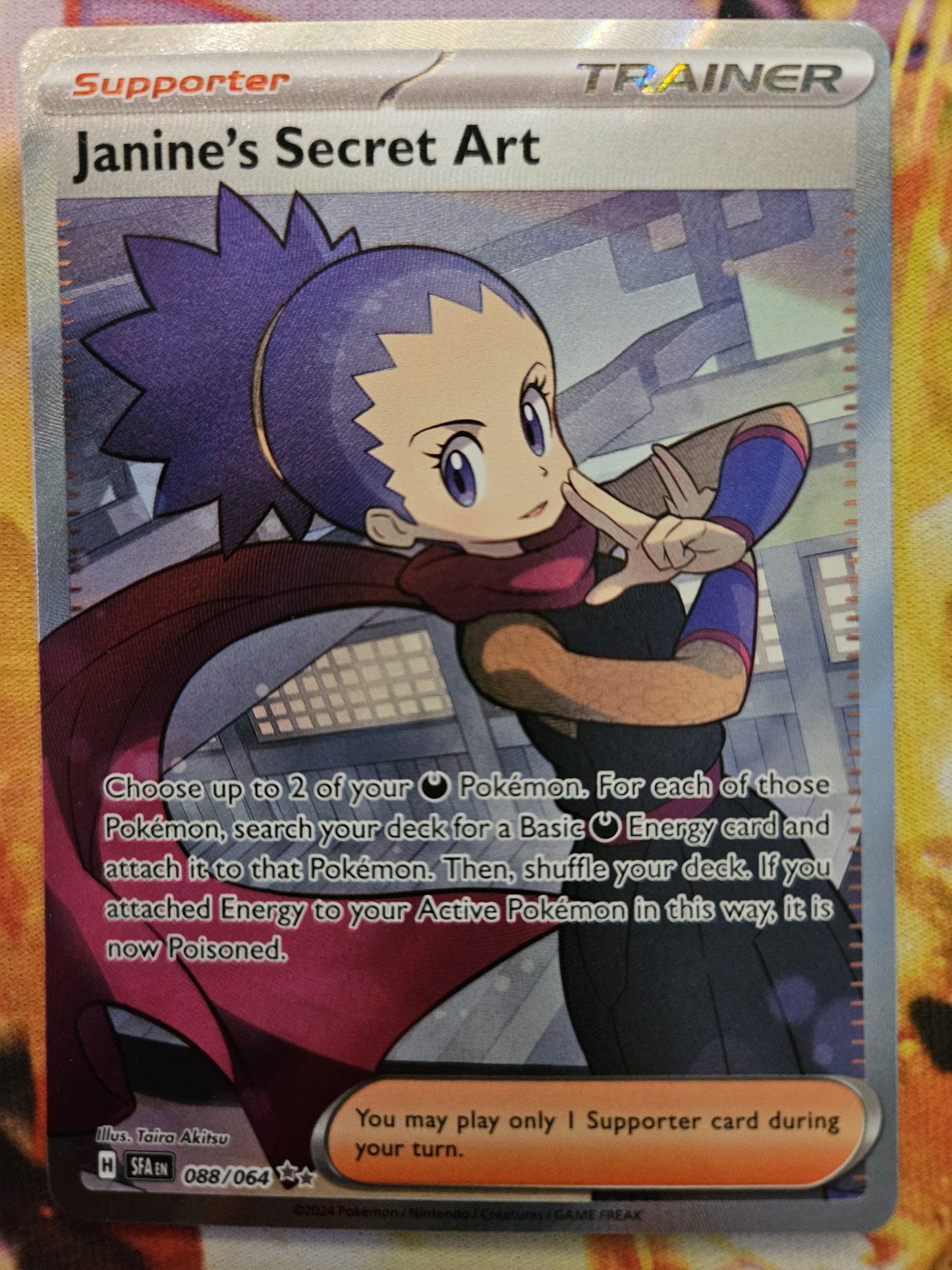 Janines Secret Art 088/064