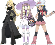 Trainers