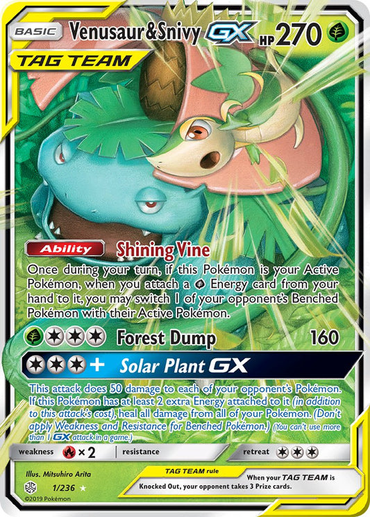 Venusaur & Snivy GX 001/236