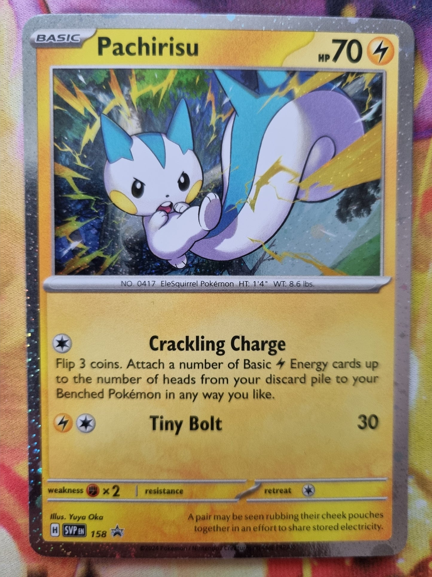 Pachirisu SVP 158