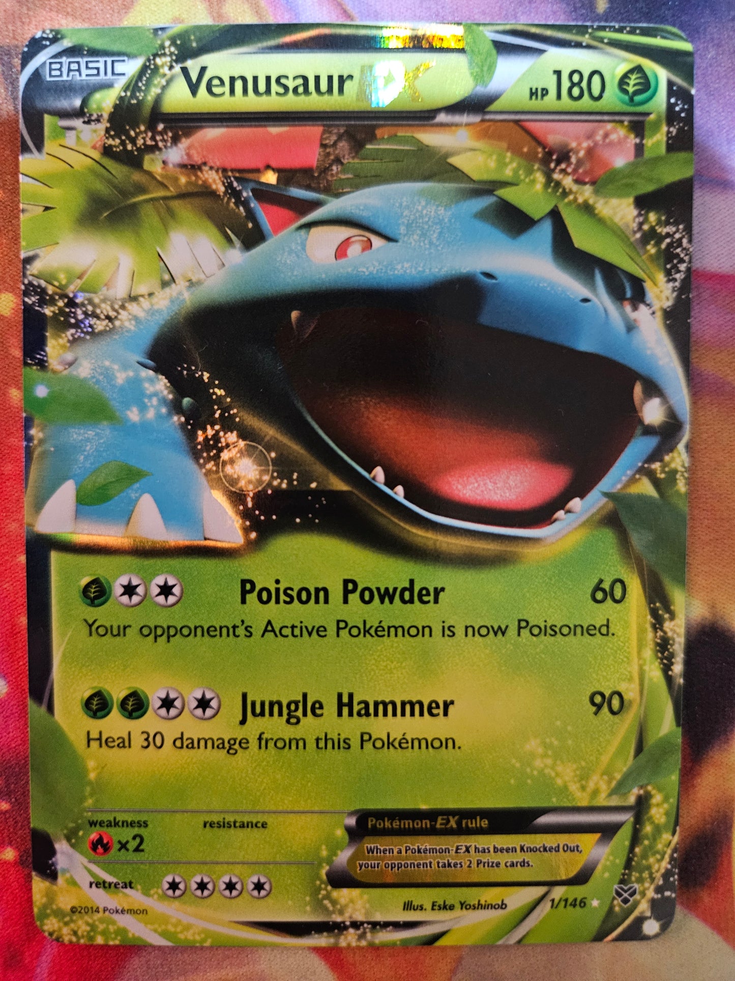 Venusaur EX 1/146