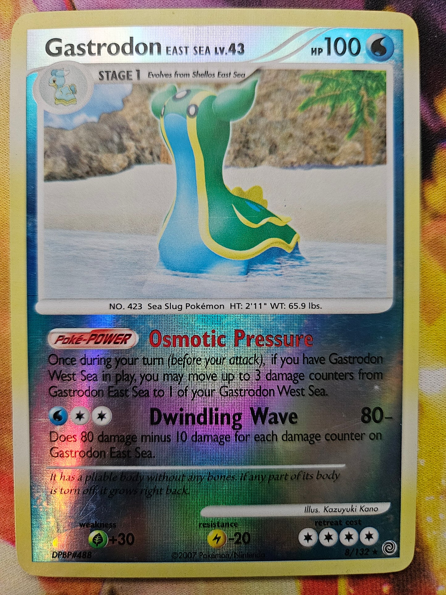 Gastrodon East Sea 8/132
