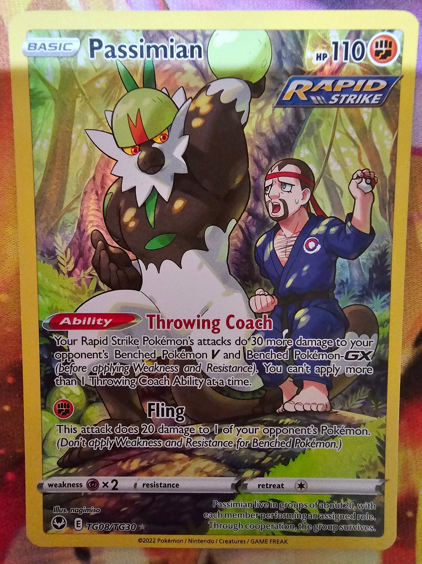 Passimian TG08/TG30