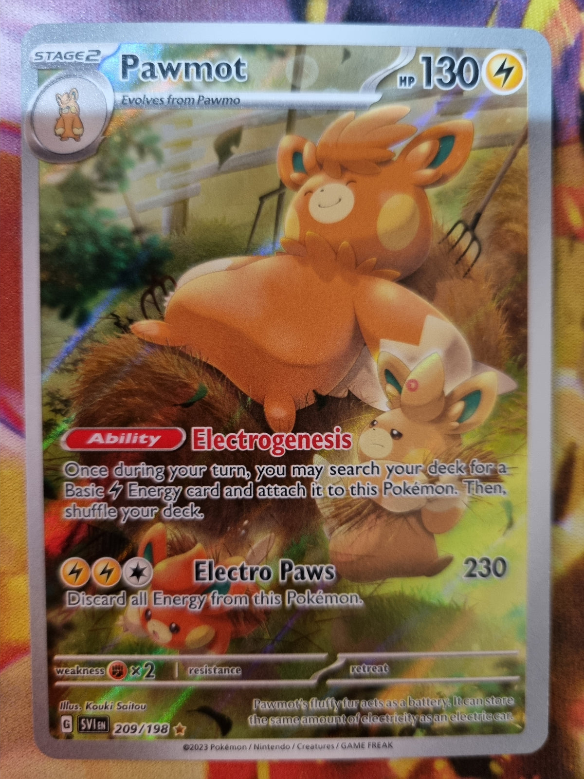Pawmot 209/198