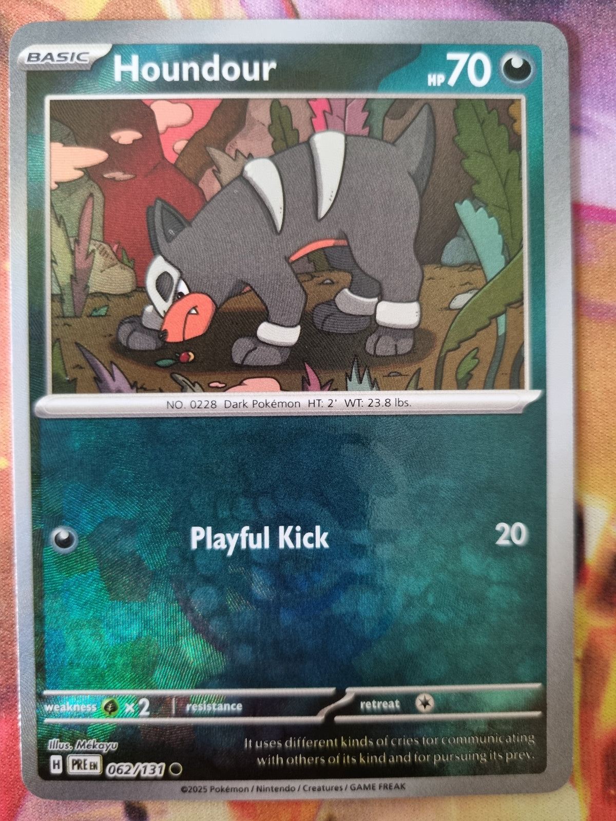 Houndour 062/131