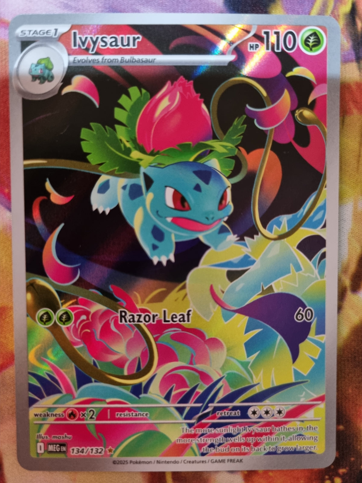 Ivysaur 134/132