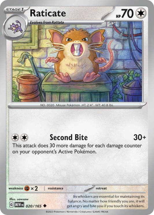 Raticate 020/165