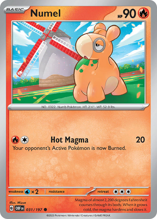 Numel 031/197