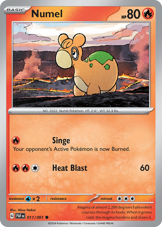 Numel 011/091