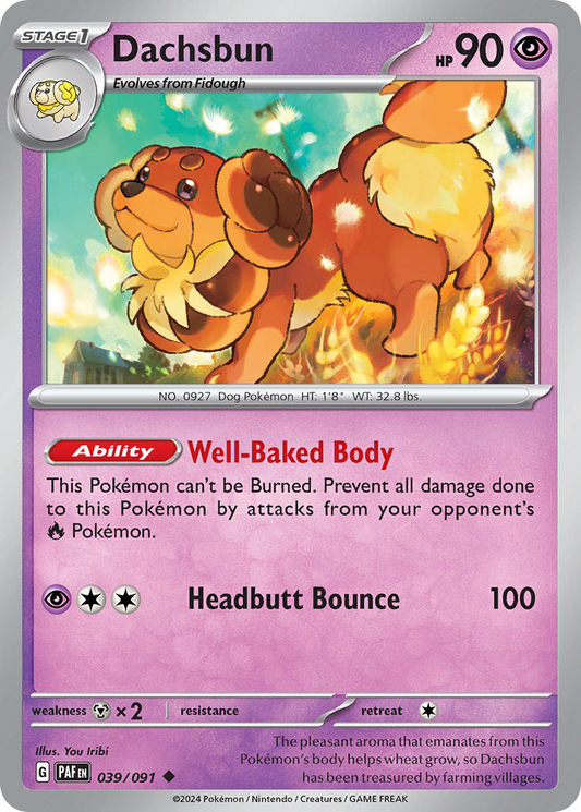Dachsbun 039/091